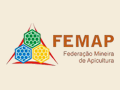 Apic_FEMAP_MG-BR.png