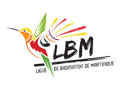 Badm_LBM-NM-MQ.png