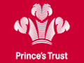 Cid_princestrust_EN-UK.png