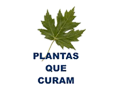 Fitot_plantasquecuram_BR.png