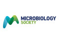 Microbiol_MS-EN-UK.png