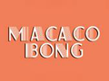 Mus-art_macacobong-MT-BR.png