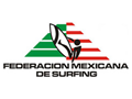 Surf_FMS_MX.png