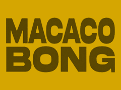 Mus-art_macaco_bong-MT-BR.png