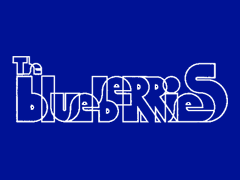 Mus-art_the_blueberries-FI-BT-FR.png
